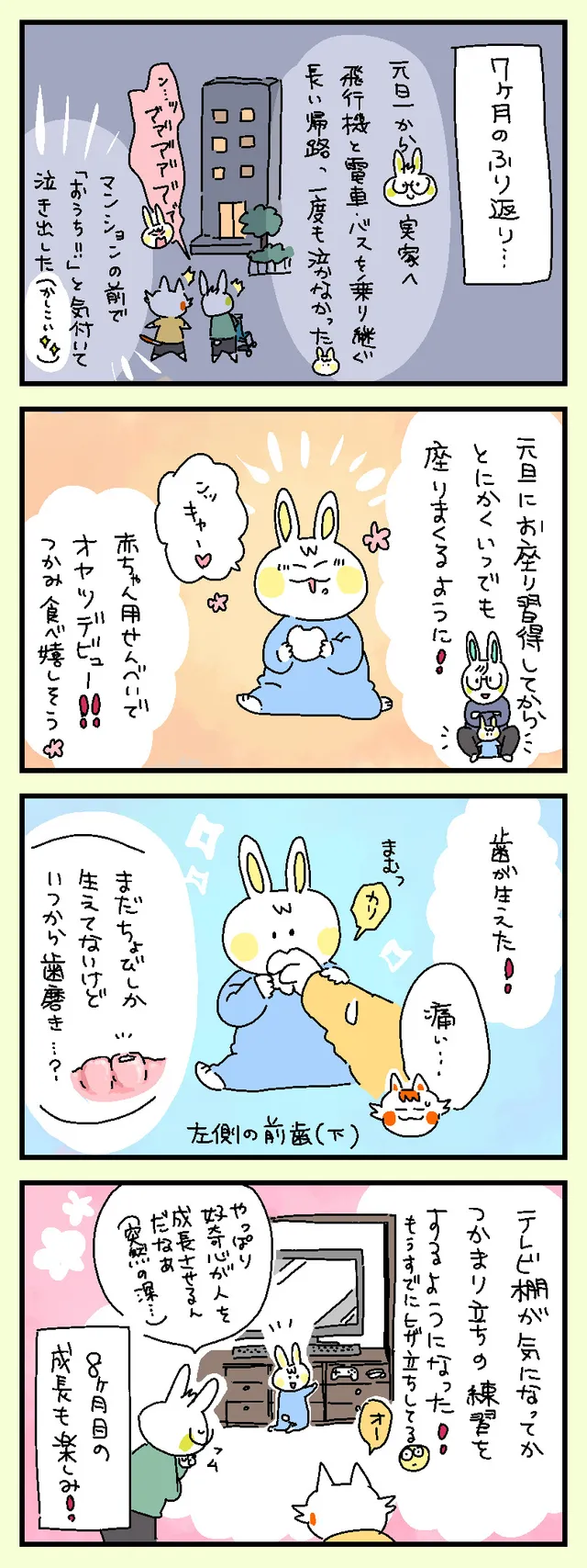 ７ヶ月のふり返り