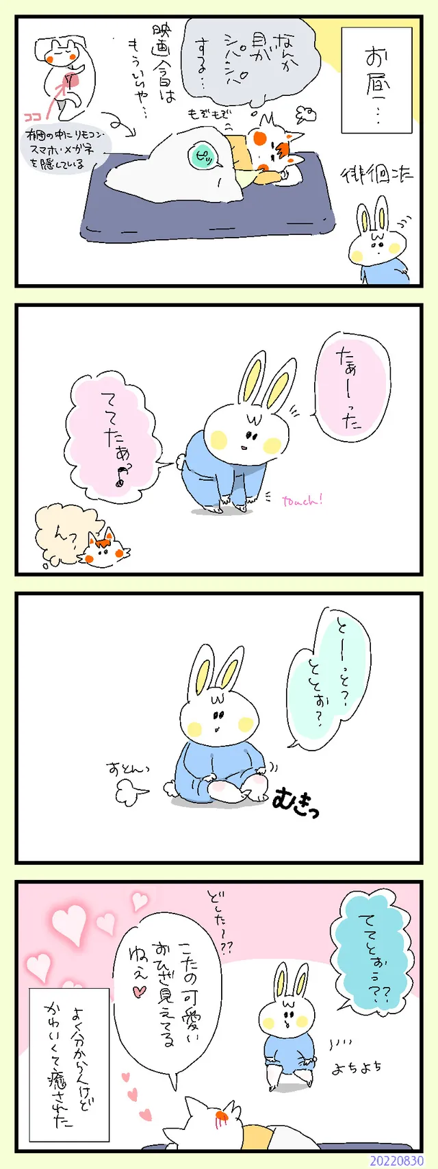 おひざお披露目