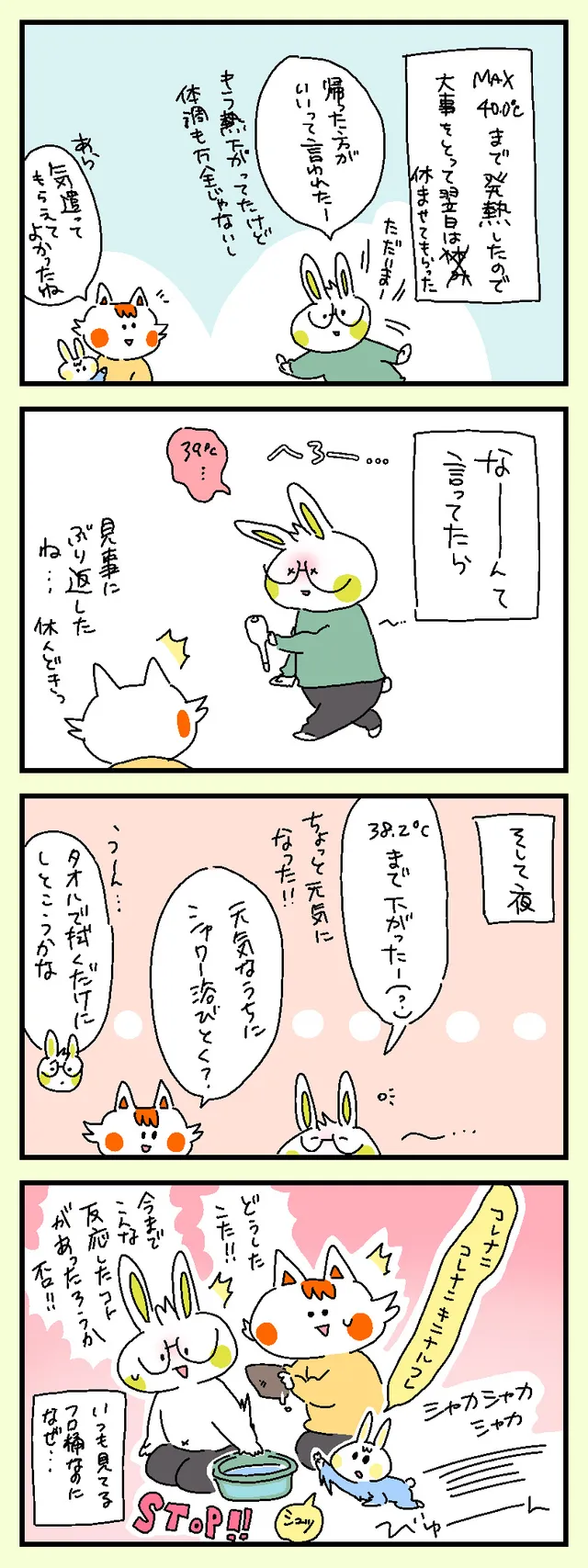 フロ桶の魅力