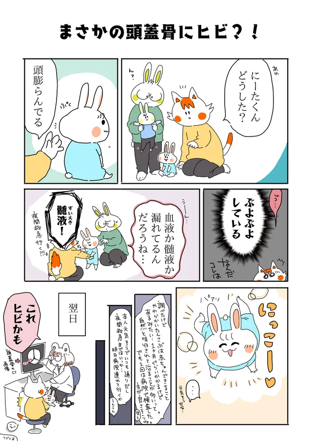 頭蓋骨にヒビ？！事件1/9