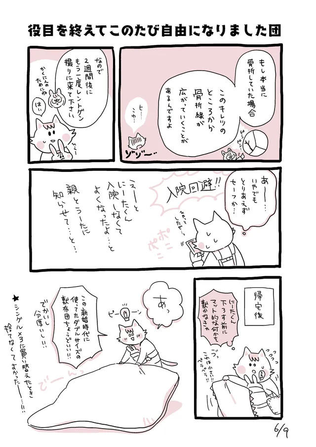 頭蓋骨にヒビ？！事件6/9