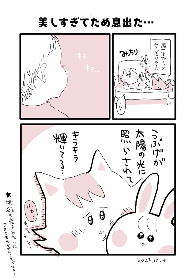 赤ちゃんのほっぺのアレ。