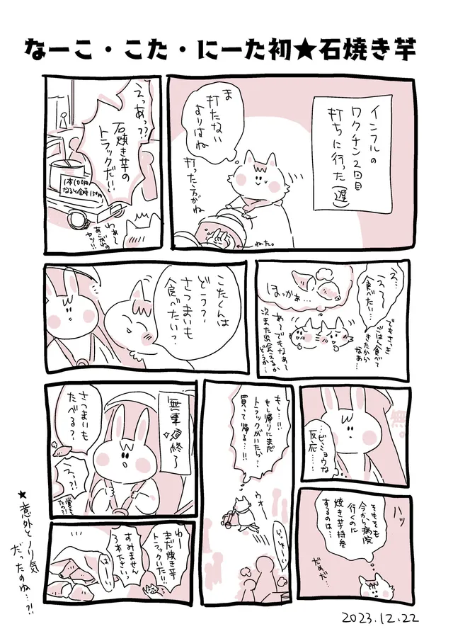 人生初の石焼き芋