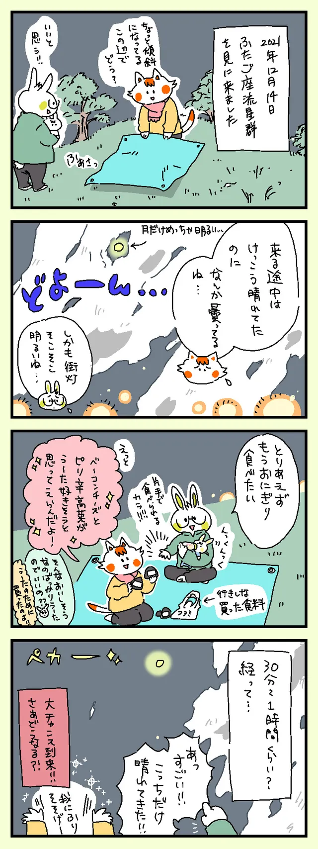 ふたご座流星群！