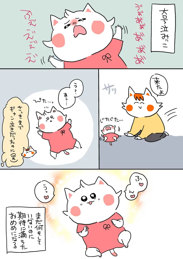 期待に満ちたおめめのみぃこ