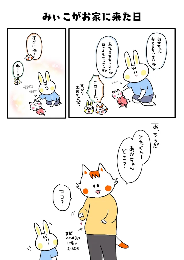 みぃこがお家に来た日